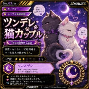 ツンデレ猫カップル
